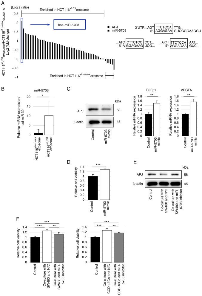 https://cdn.ncbi.nlm.nih.gov/pmc/blobs/ed17/10631769/ba0e6e9fe5ee/ijo-63-06-05587-g05.jpg