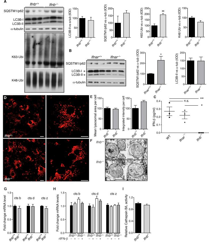 https://cdn.ncbi.nlm.nih.gov/pmc/blobs/ed18/4601085/0912d97279f4/figs5.jpg
