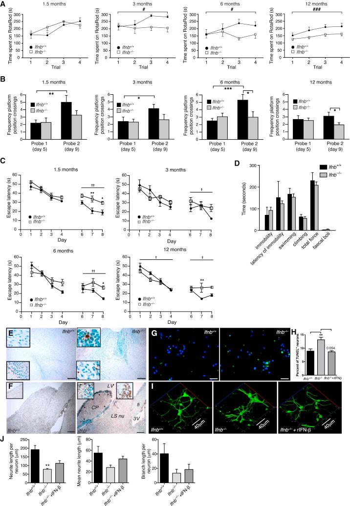 https://cdn.ncbi.nlm.nih.gov/pmc/blobs/ed18/4601085/1cca27f846ee/figs1.jpg