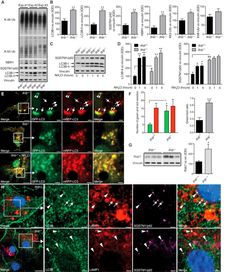 https://cdn.ncbi.nlm.nih.gov/pmc/blobs/ed18/4601085/44d75b7d3c4a/gr5.jpg