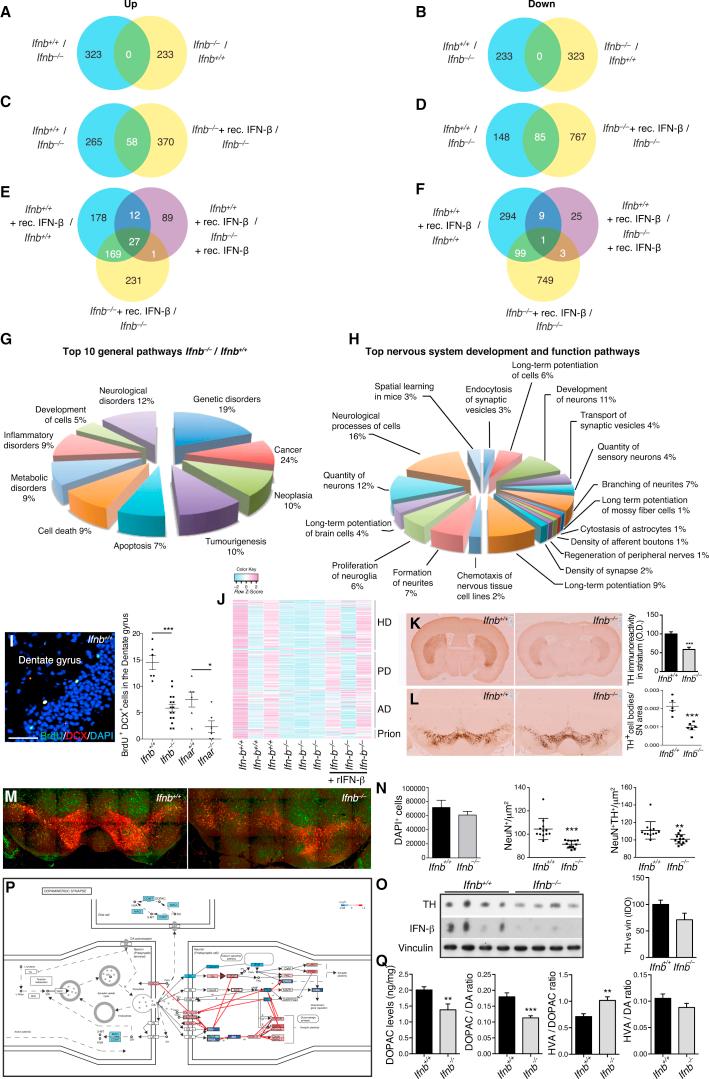 https://cdn.ncbi.nlm.nih.gov/pmc/blobs/ed18/4601085/537d349cd45d/gr2.jpg