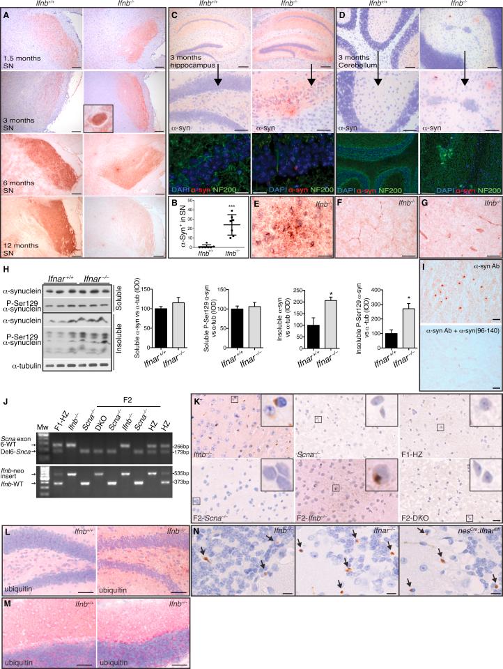 https://cdn.ncbi.nlm.nih.gov/pmc/blobs/ed18/4601085/55a83b0052df/figs3.jpg