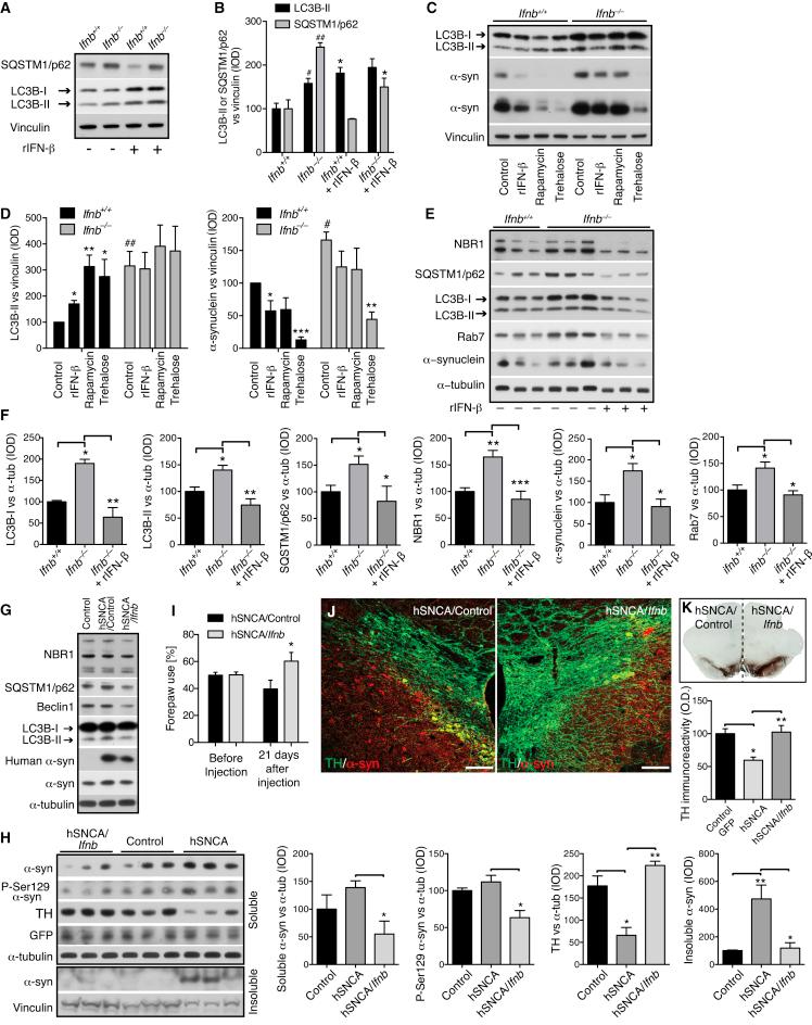 https://cdn.ncbi.nlm.nih.gov/pmc/blobs/ed18/4601085/7d0cb58aca61/gr7.jpg