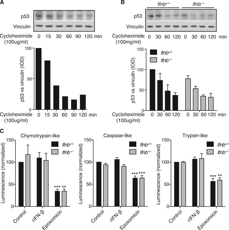 https://cdn.ncbi.nlm.nih.gov/pmc/blobs/ed18/4601085/9115d6c0e277/figs6.jpg