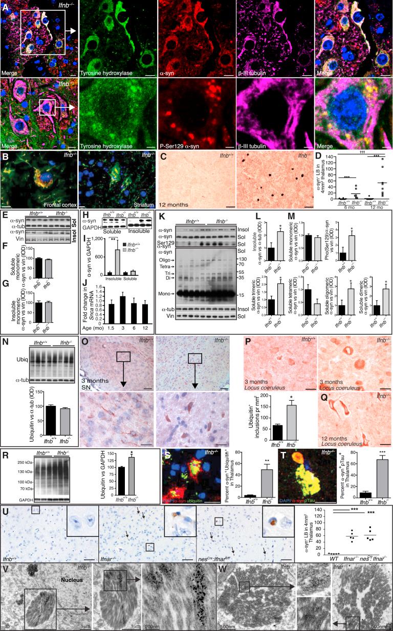 https://cdn.ncbi.nlm.nih.gov/pmc/blobs/ed18/4601085/d70ae0681ff3/gr3.jpg