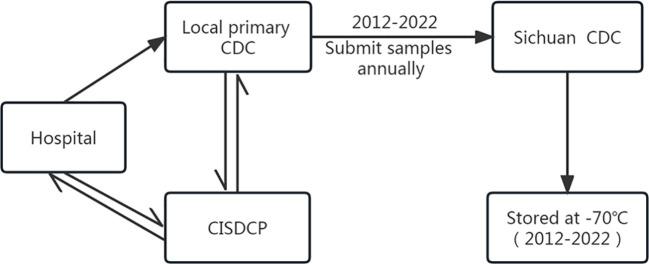 https://cdn.ncbi.nlm.nih.gov/pmc/blobs/ed19/10853334/35d7d34a099b/fcimb-14-1302314-g001.jpg