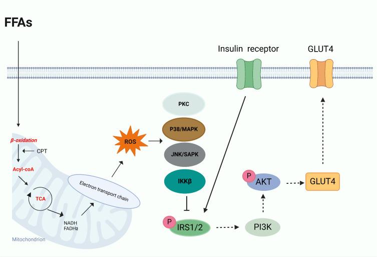 https://cdn.ncbi.nlm.nih.gov/pmc/blobs/ed1a/12036605/3daff5d162a2/DMSO-18-1223-g0004.jpg