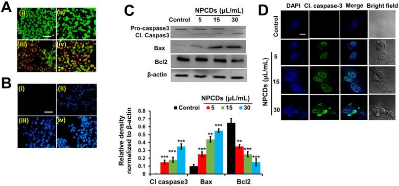 https://cdn.ncbi.nlm.nih.gov/pmc/blobs/ed1b/7359102/ad865b547436/thnov10p7841g006.jpg