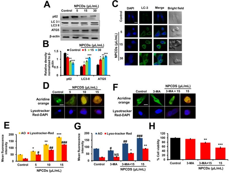 https://cdn.ncbi.nlm.nih.gov/pmc/blobs/ed1b/7359102/c0e6b10341a8/thnov10p7841g009.jpg