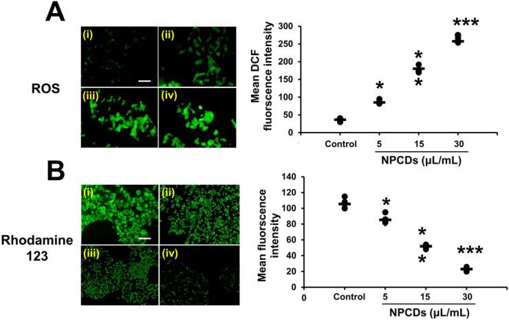 https://cdn.ncbi.nlm.nih.gov/pmc/blobs/ed1b/7359102/ca795f2126a3/thnov10p7841g007.jpg