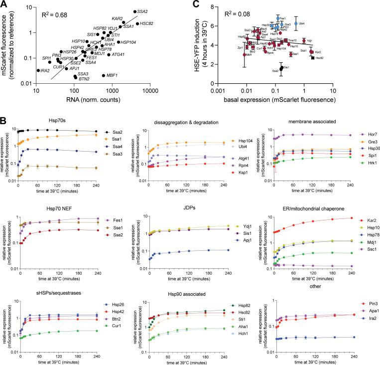 https://cdn.ncbi.nlm.nih.gov/pmc/blobs/ed1c/11415305/24efce22694a/JCB_202401082_FigS1.jpg