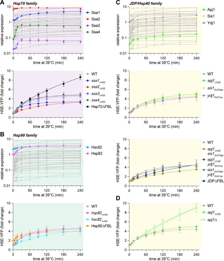 https://cdn.ncbi.nlm.nih.gov/pmc/blobs/ed1c/11415305/45e1b73e7ffd/JCB_202401082_Fig3.jpg