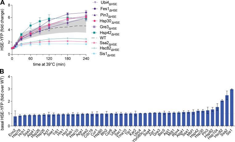 https://cdn.ncbi.nlm.nih.gov/pmc/blobs/ed1c/11415305/5732ef87ed01/JCB_202401082_FigS2.jpg
