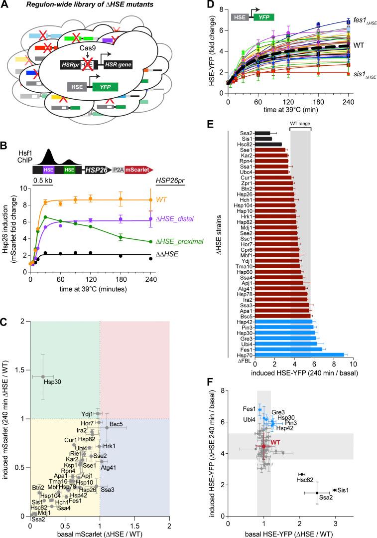 https://cdn.ncbi.nlm.nih.gov/pmc/blobs/ed1c/11415305/cf6873f8c927/JCB_202401082_Fig2.jpg
