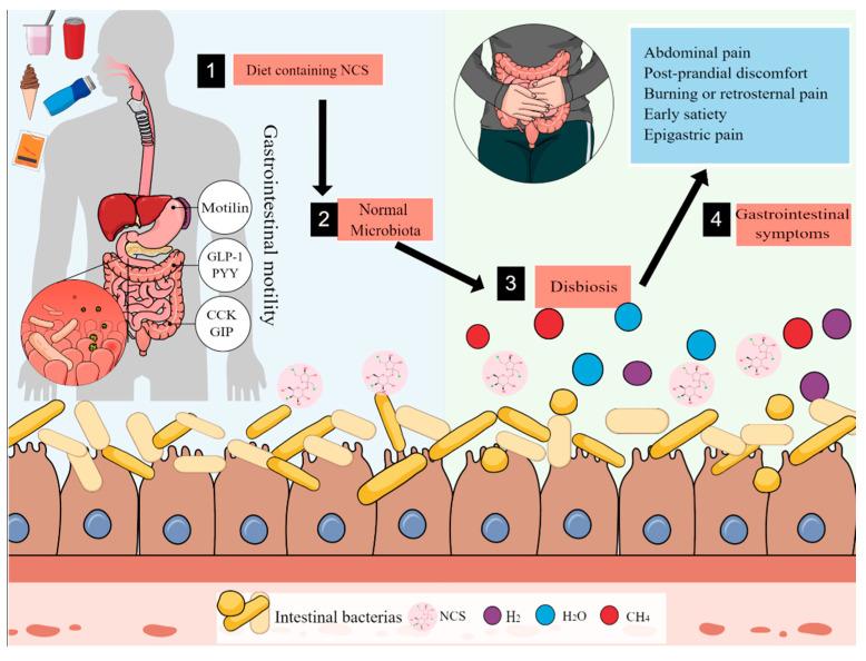 https://cdn.ncbi.nlm.nih.gov/pmc/blobs/ed1e/8912523/18b11b3380cd/nutrients-14-01095-g003.jpg
