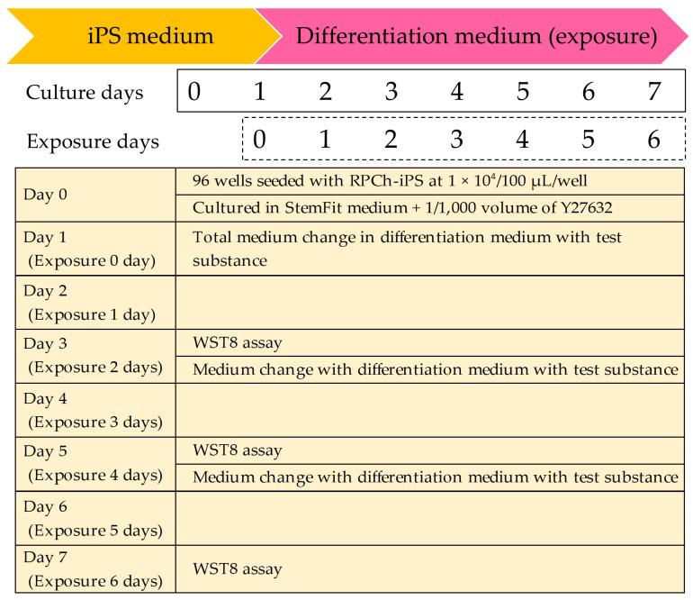 https://cdn.ncbi.nlm.nih.gov/pmc/blobs/ed1f/11817626/90d544167ceb/cells-14-00215-g001.jpg