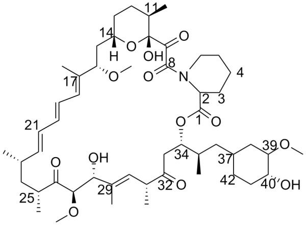 https://cdn.ncbi.nlm.nih.gov/pmc/blobs/ed1f/2311308/e27caaccde0d/1472-6807-8-17-1.jpg