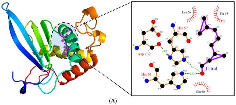 https://cdn.ncbi.nlm.nih.gov/pmc/blobs/ed20/6930587/9d94b0cf6472/molecules-24-04237-g009a.jpg