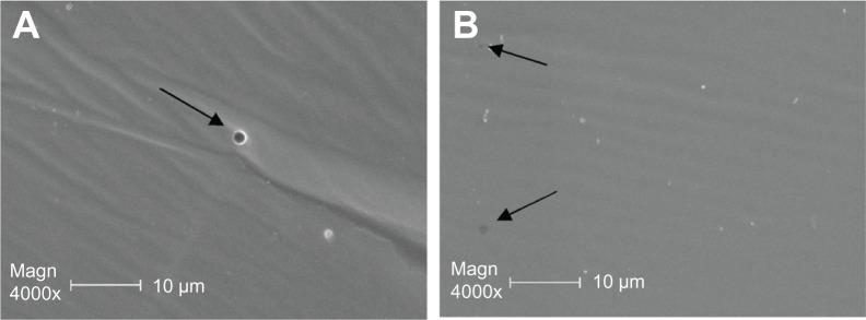 https://cdn.ncbi.nlm.nih.gov/pmc/blobs/ed23/3260945/f402557e4bad/ijn-7-001f8.jpg