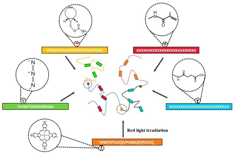 https://cdn.ncbi.nlm.nih.gov/pmc/blobs/ed24/12385739/180350b683e8/gels-11-00579-g007.jpg