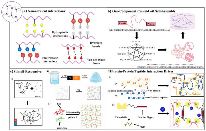 https://cdn.ncbi.nlm.nih.gov/pmc/blobs/ed24/12385739/daf90b97eaf8/gels-11-00579-g002.jpg