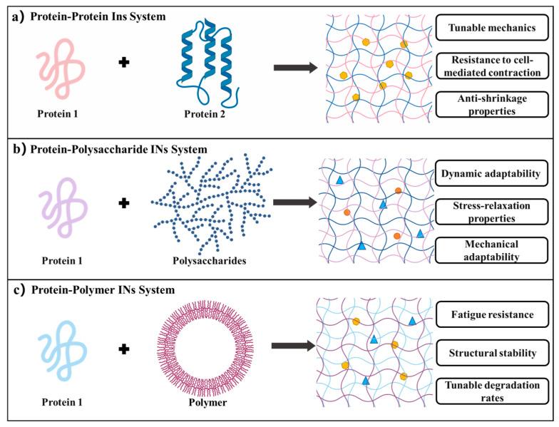 https://cdn.ncbi.nlm.nih.gov/pmc/blobs/ed24/12385739/f7233db185ae/gels-11-00579-g004.jpg