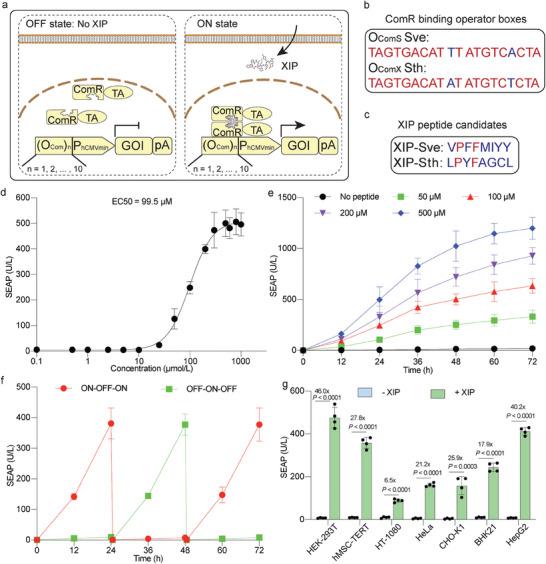 https://cdn.ncbi.nlm.nih.gov/pmc/blobs/ed25/11267282/672c99fe2060/ADVS-11-2309411-g004.jpg