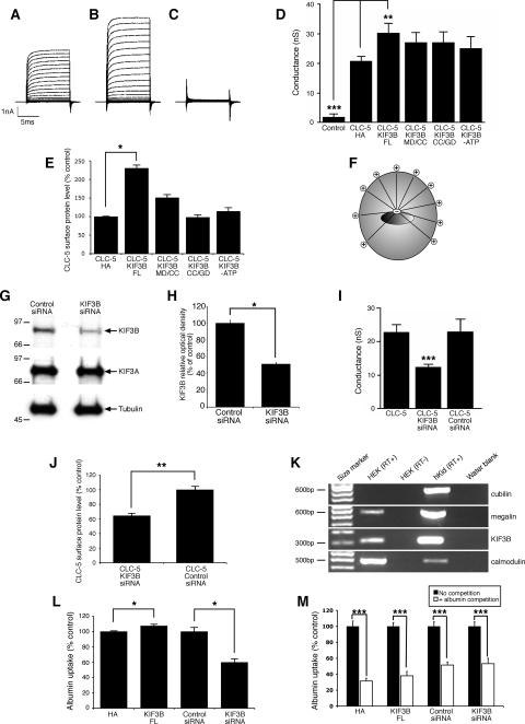 https://cdn.ncbi.nlm.nih.gov/pmc/blobs/ed25/2822520/47800c2e323c/zh20021058000003.jpg