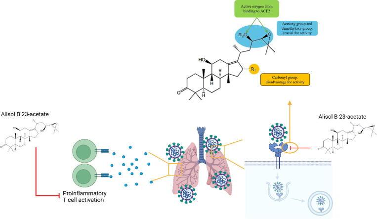 https://cdn.ncbi.nlm.nih.gov/pmc/blobs/ed26/11331179/4c4ec25adc6f/ga1.jpg