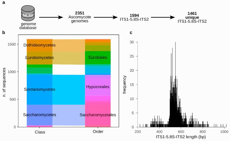 https://cdn.ncbi.nlm.nih.gov/pmc/blobs/ed27/11433625/6a690826d52c/jof-10-00595-g001.jpg