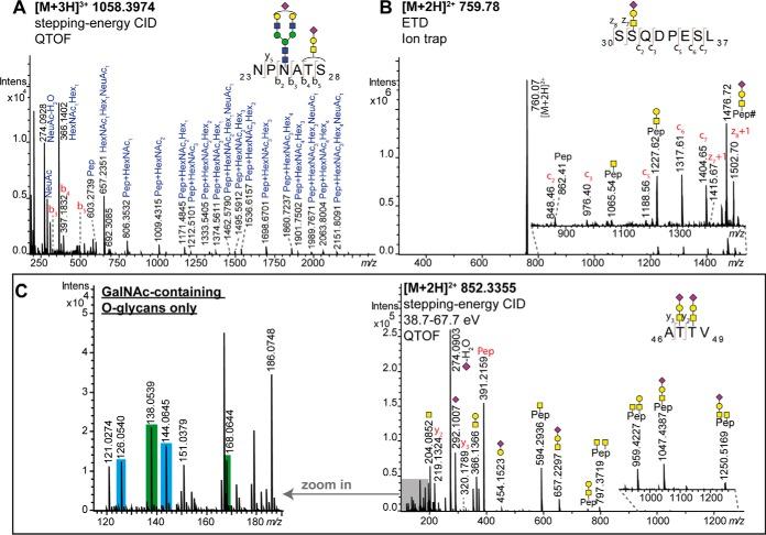 https://cdn.ncbi.nlm.nih.gov/pmc/blobs/ed27/5986245/06ebc53d2579/zjw0071857520001.jpg