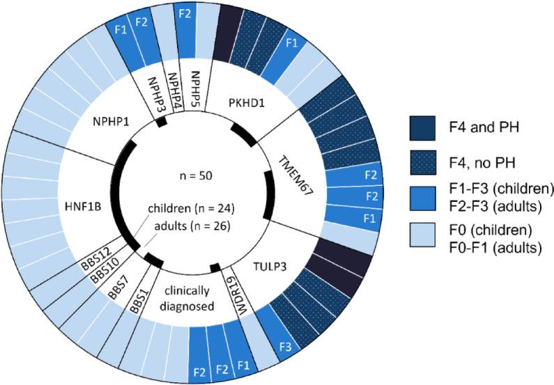 https://cdn.ncbi.nlm.nih.gov/pmc/blobs/ed29/12006320/a5acdba69b47/41598_2025_96246_Fig4_HTML.jpg