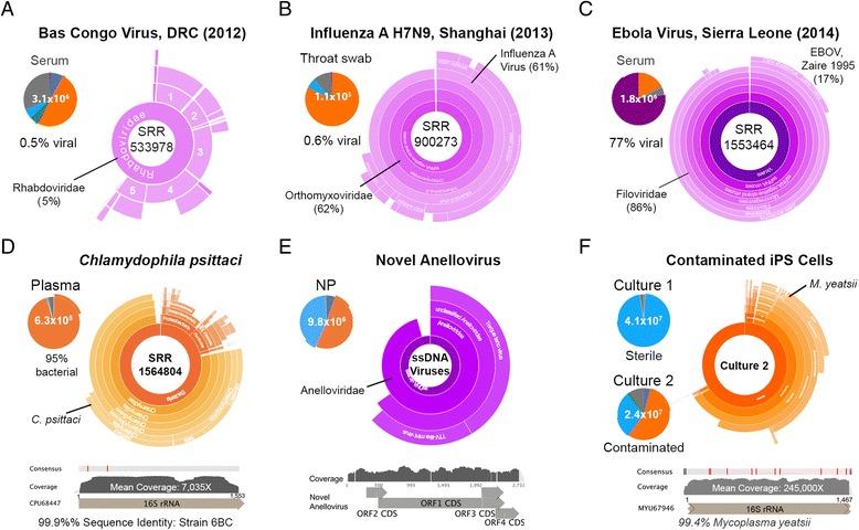 https://cdn.ncbi.nlm.nih.gov/pmc/blobs/ed29/4880956/a44210f3d50e/13059_2016_969_Fig5_HTML.jpg