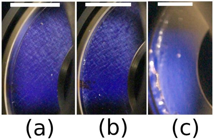https://cdn.ncbi.nlm.nih.gov/pmc/blobs/ed29/6290628/06e28a4c5d16/polymers-10-01204-g005.jpg