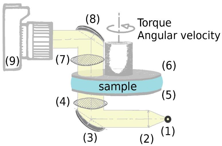https://cdn.ncbi.nlm.nih.gov/pmc/blobs/ed29/6290628/30e9a819ae21/polymers-10-01204-g001.jpg
