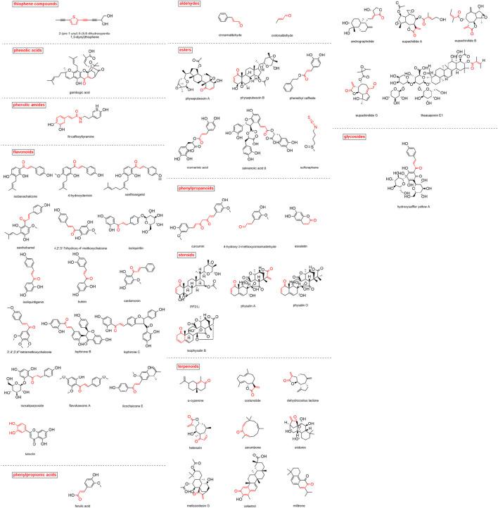 https://cdn.ncbi.nlm.nih.gov/pmc/blobs/ed29/9666775/1340190a9237/fphar-13-1033003-g003.jpg