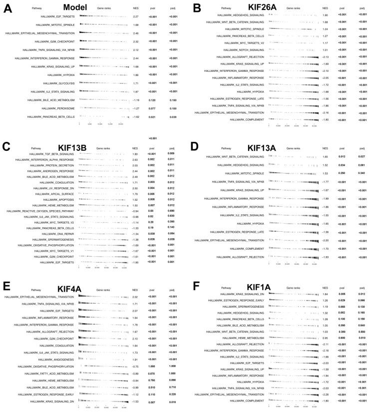 https://cdn.ncbi.nlm.nih.gov/pmc/blobs/ed2a/9959126/059d7c114cbc/medicina-59-00414-g005.jpg