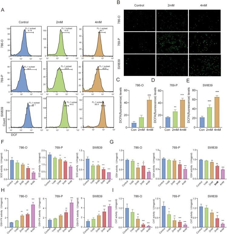 https://cdn.ncbi.nlm.nih.gov/pmc/blobs/ed2d/10472857/990ae2a422fb/YRER_A_2251234_F0002_OC.jpg