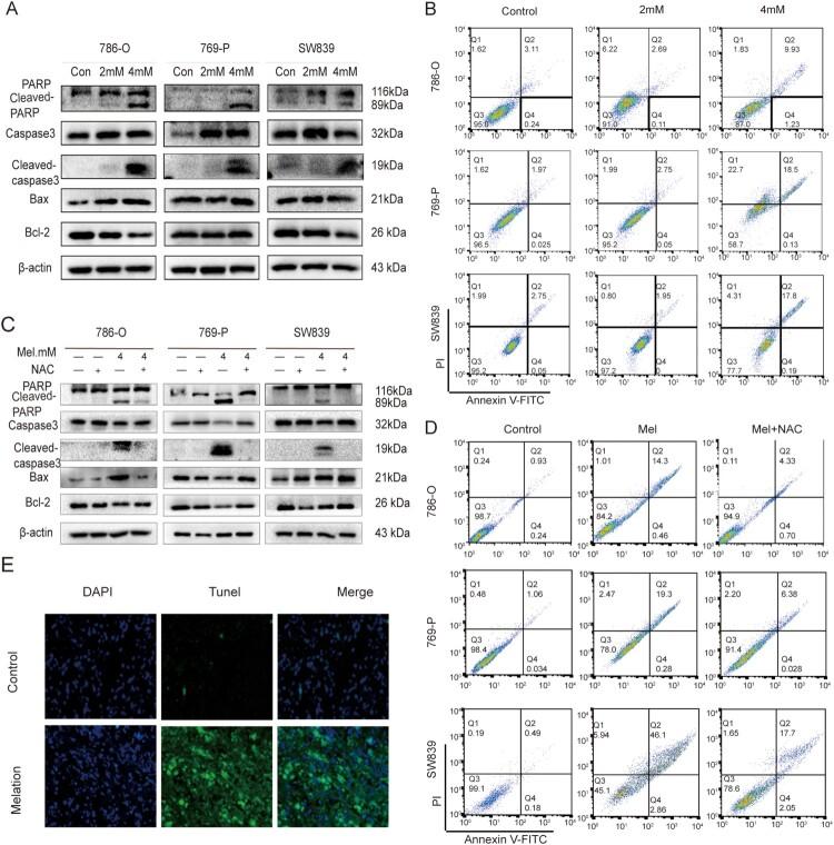 https://cdn.ncbi.nlm.nih.gov/pmc/blobs/ed2d/10472857/a428d7f93144/YRER_A_2251234_F0003_OC.jpg