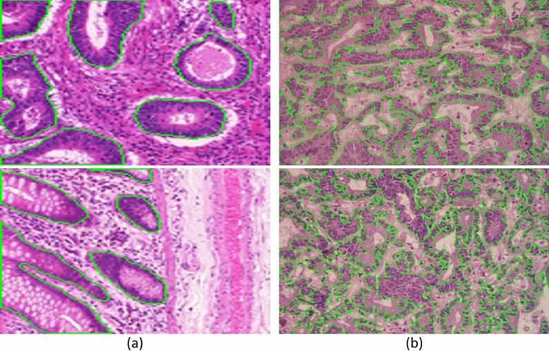 https://cdn.ncbi.nlm.nih.gov/pmc/blobs/ed2f/11584768/d4f9a1c22598/41598_2024_60475_Fig6_HTML.jpg