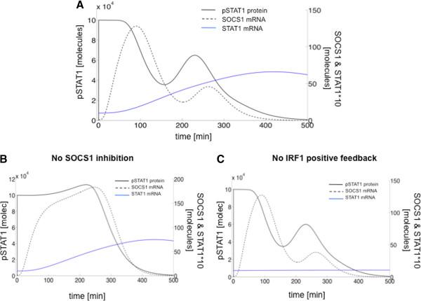 https://cdn.ncbi.nlm.nih.gov/pmc/blobs/ed2f/3711797/35410b2c8d9a/1752-0509-7-59-5.jpg