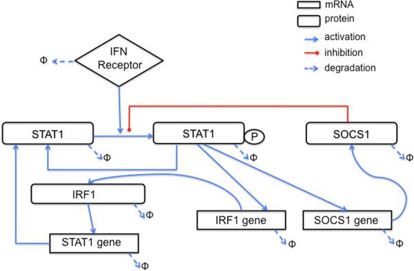 https://cdn.ncbi.nlm.nih.gov/pmc/blobs/ed2f/3711797/d59e7ccde3c8/1752-0509-7-59-4.jpg
