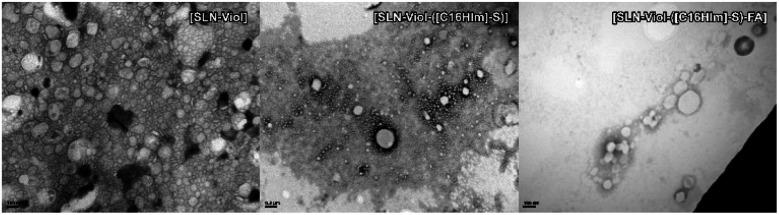 https://cdn.ncbi.nlm.nih.gov/pmc/blobs/ed31/9055966/55a3a5a3fc2b/d0ra05101b-f6.jpg