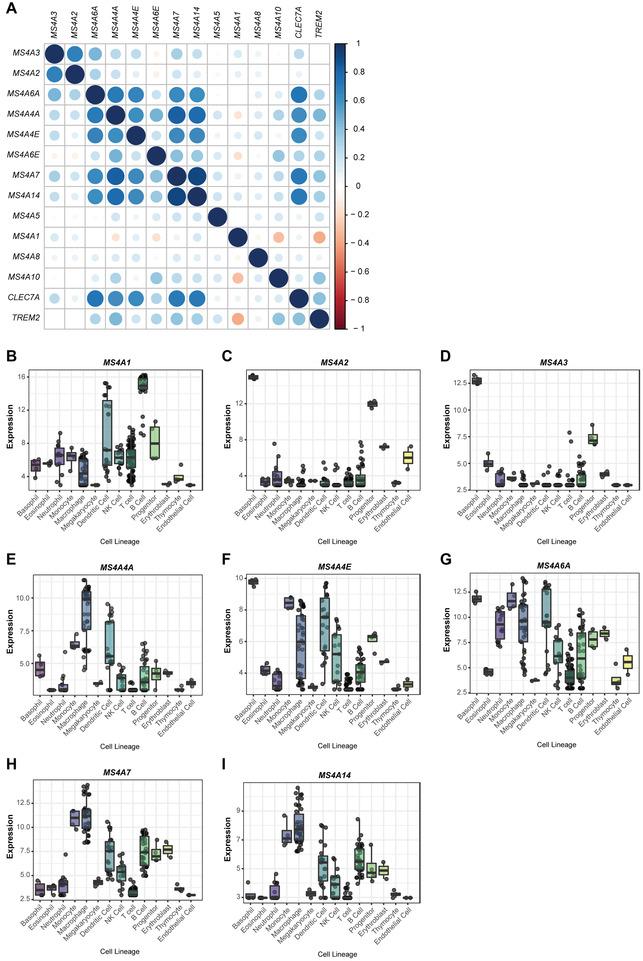https://cdn.ncbi.nlm.nih.gov/pmc/blobs/ed31/9290968/40811c410018/JLB-111-817-g005.jpg