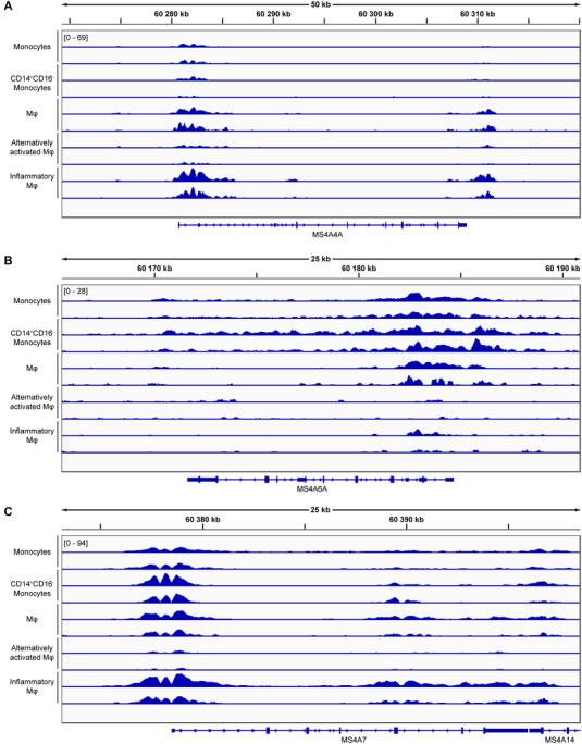 https://cdn.ncbi.nlm.nih.gov/pmc/blobs/ed31/9290968/5d708993a111/JLB-111-817-g006.jpg