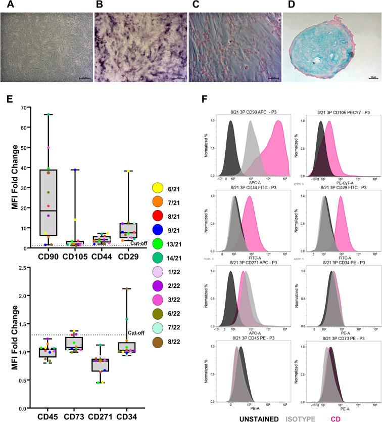 https://cdn.ncbi.nlm.nih.gov/pmc/blobs/ed32/11673362/9a5c56d26491/12985_2024_2603_Fig1_HTML.jpg