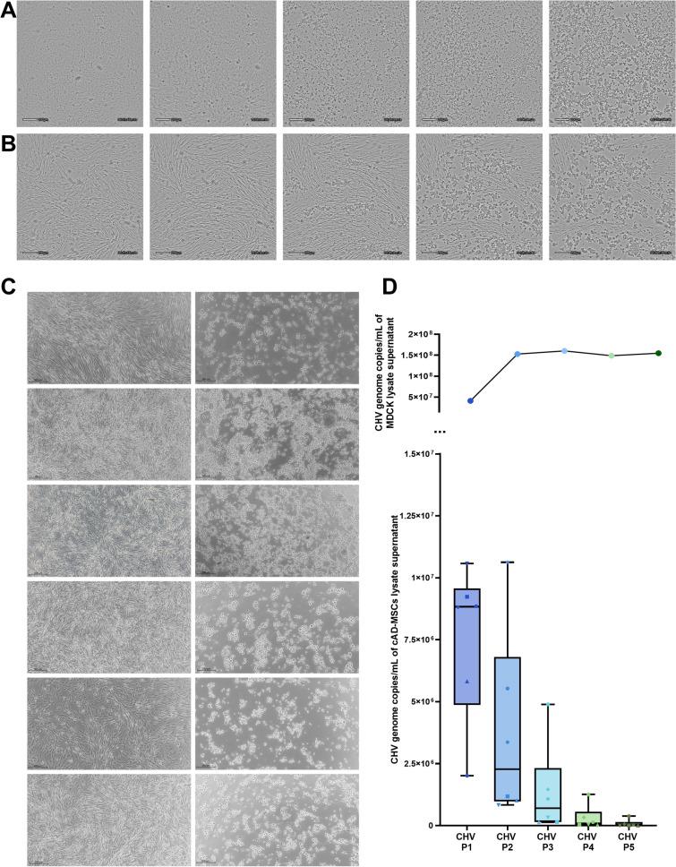 https://cdn.ncbi.nlm.nih.gov/pmc/blobs/ed32/11673362/a09f004e5279/12985_2024_2603_Fig2_HTML.jpg