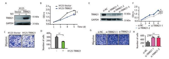 https://cdn.ncbi.nlm.nih.gov/pmc/blobs/ed35/11183318/0494cc692ad4/img_2.jpg