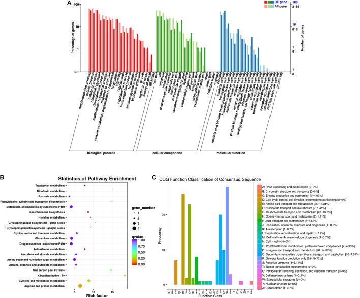 https://cdn.ncbi.nlm.nih.gov/pmc/blobs/ed35/8490719/1b2f3e09a691/fcell-09-647604-g003.jpg