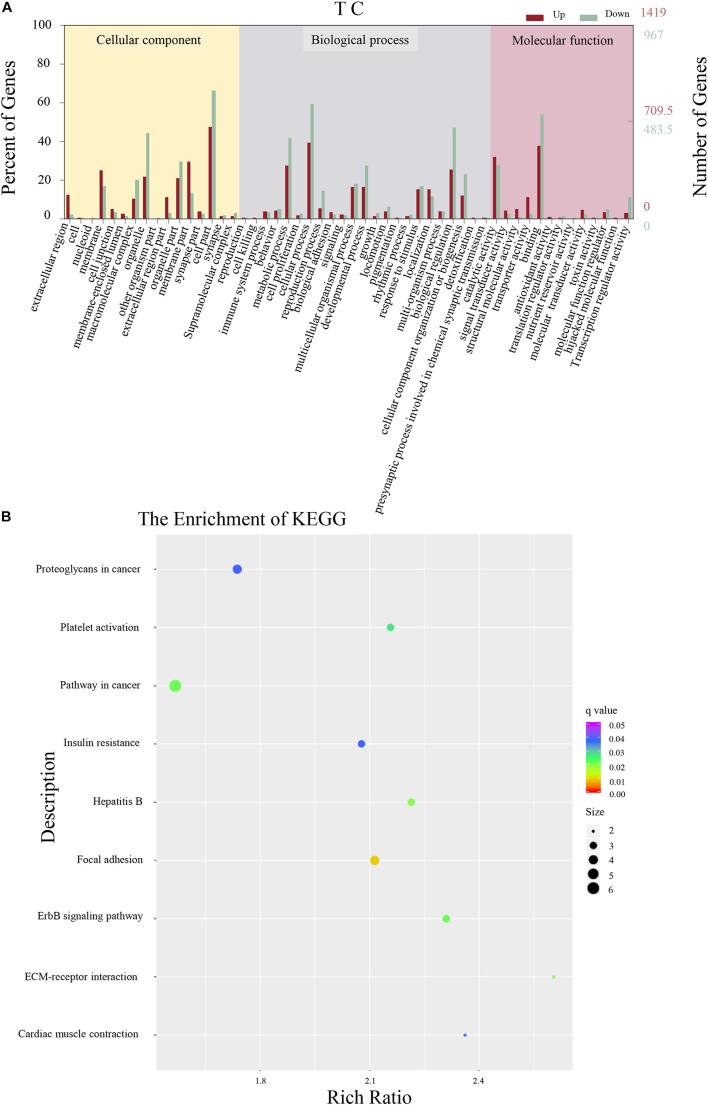 https://cdn.ncbi.nlm.nih.gov/pmc/blobs/ed35/8490719/694831e724cc/fcell-09-647604-g002.jpg